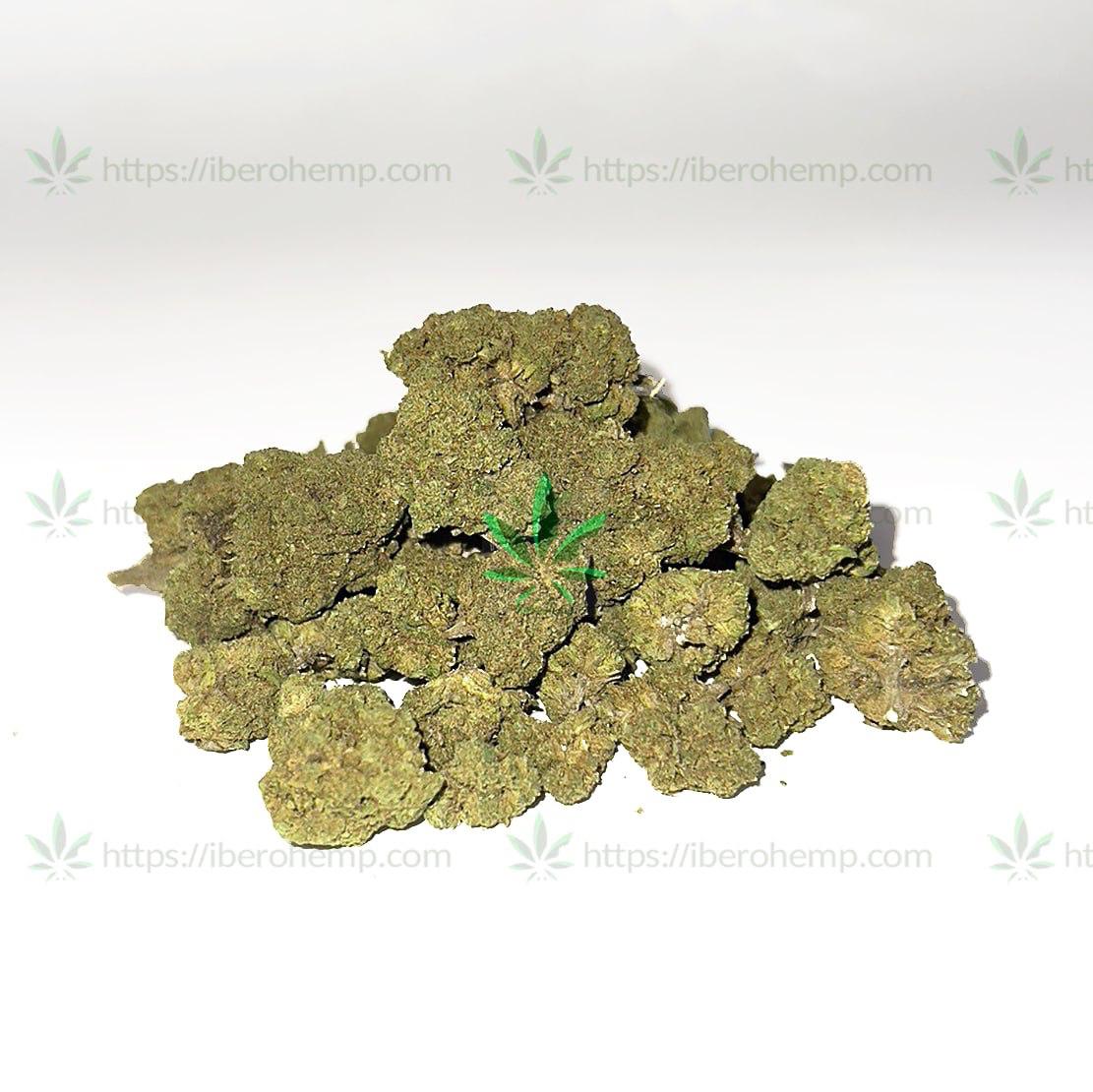 Amnesia invernadero PopCorn de Iberohemp CBD  2 (30g-500g)