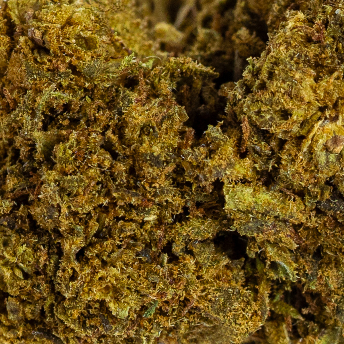 Candy Kush CBD (10g-500g)