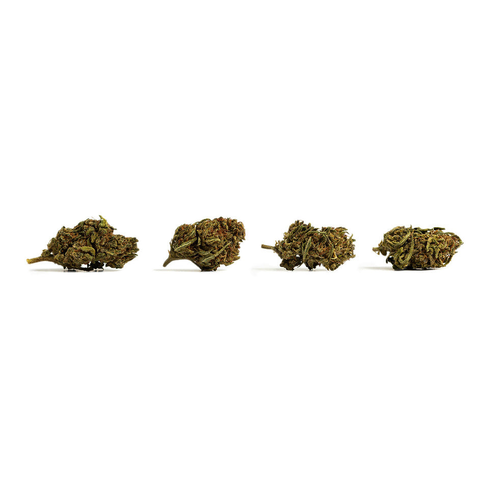 cannatonic (10g - 500g)
