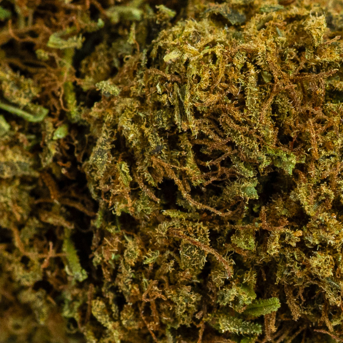 Cherry wine CBD (10g-500g)