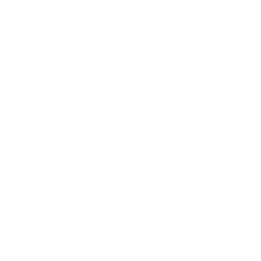 Vestimenta