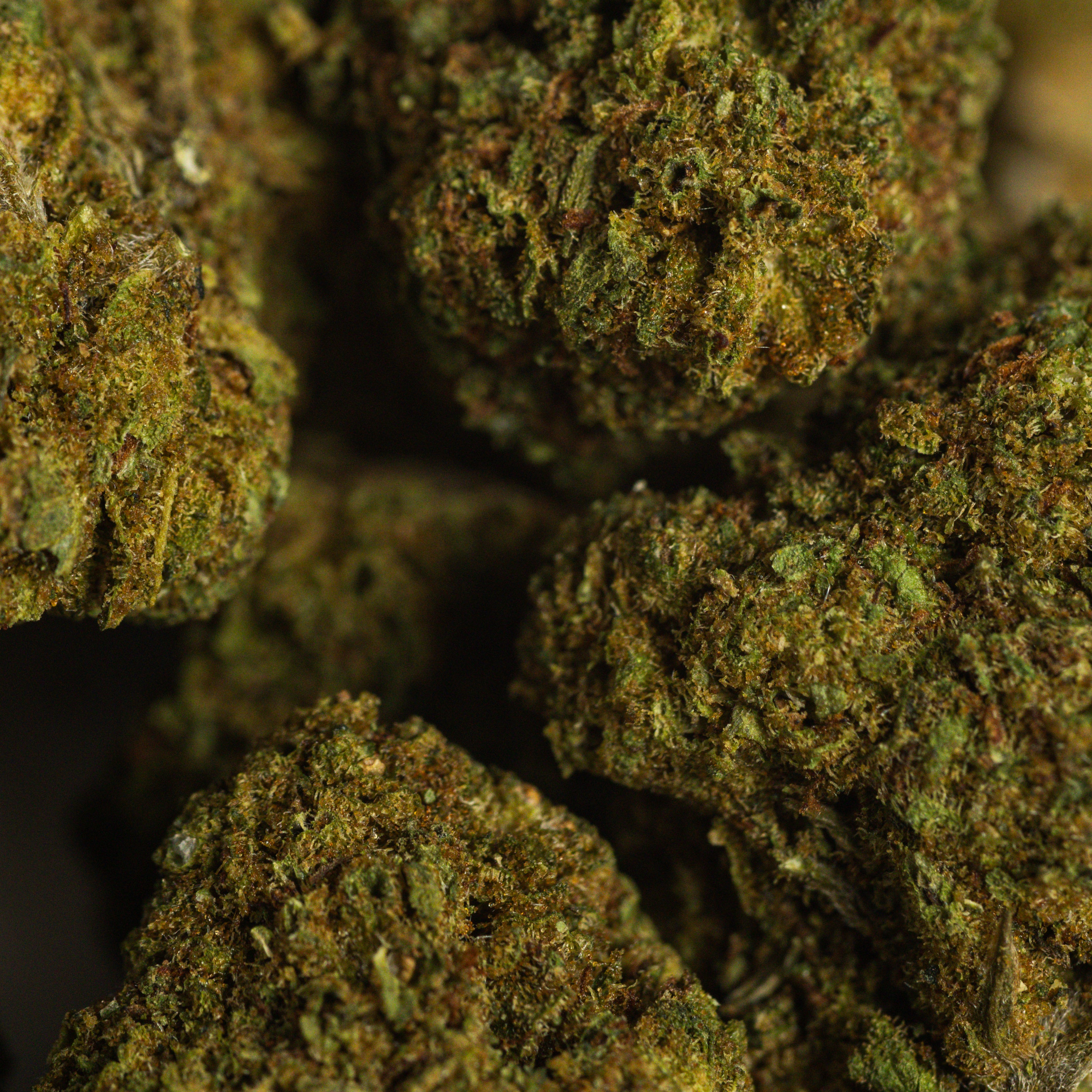 Banana Kush - CBD Medium