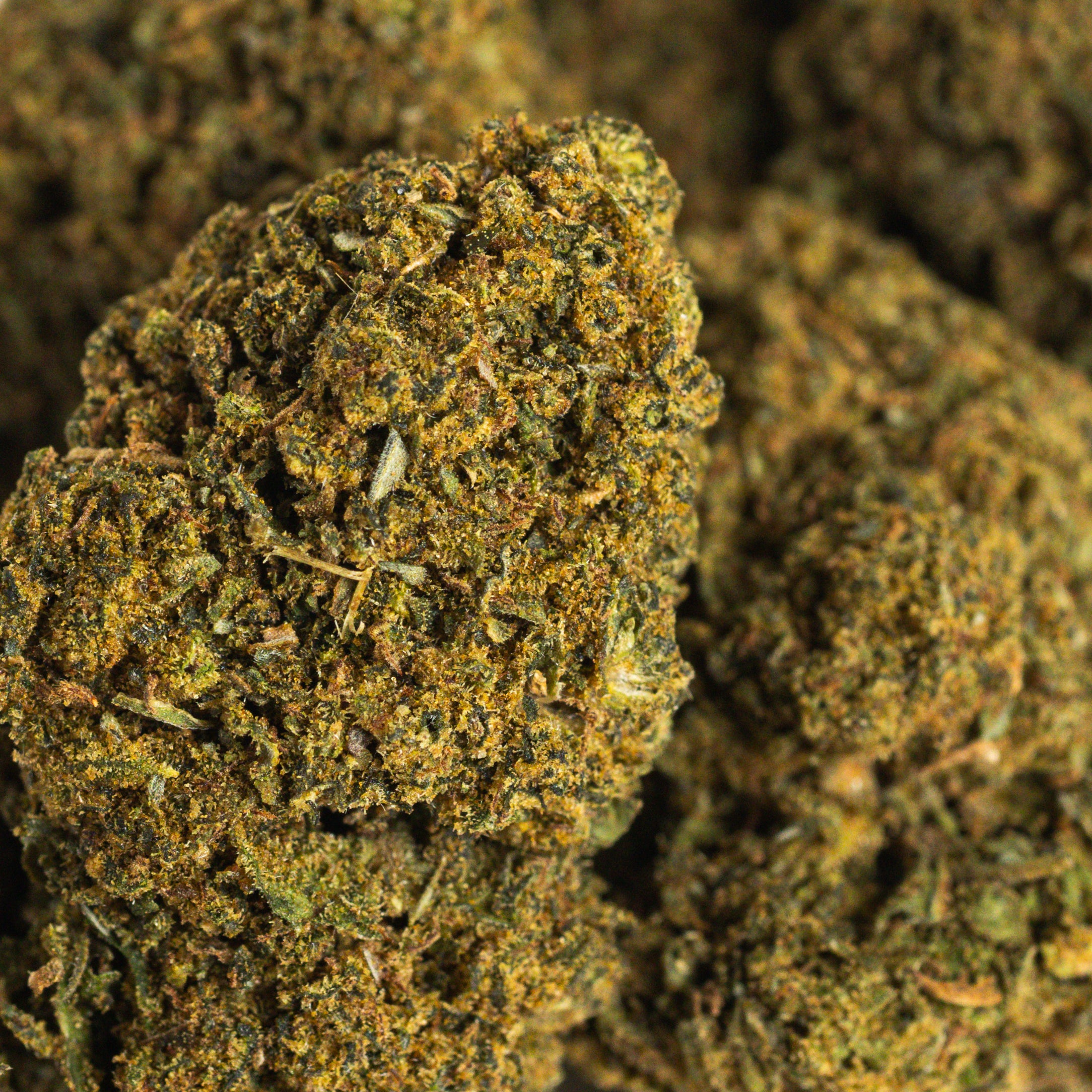 Gorilla Glue CBD