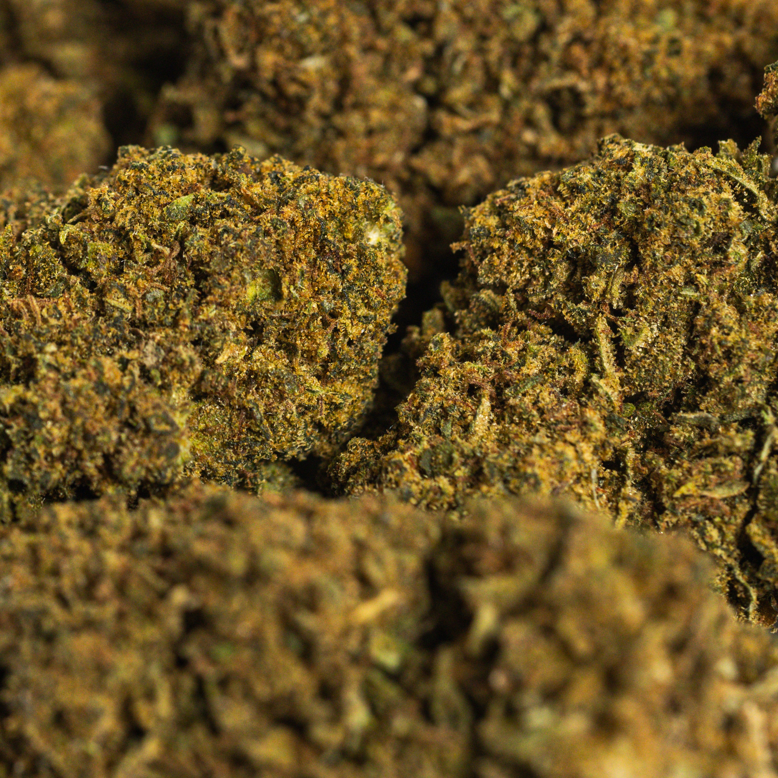 Limoncello CBD