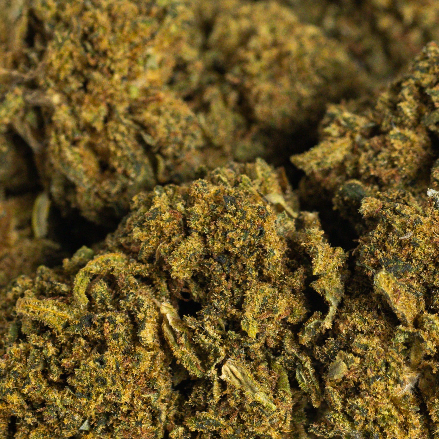 White Widow CBD
