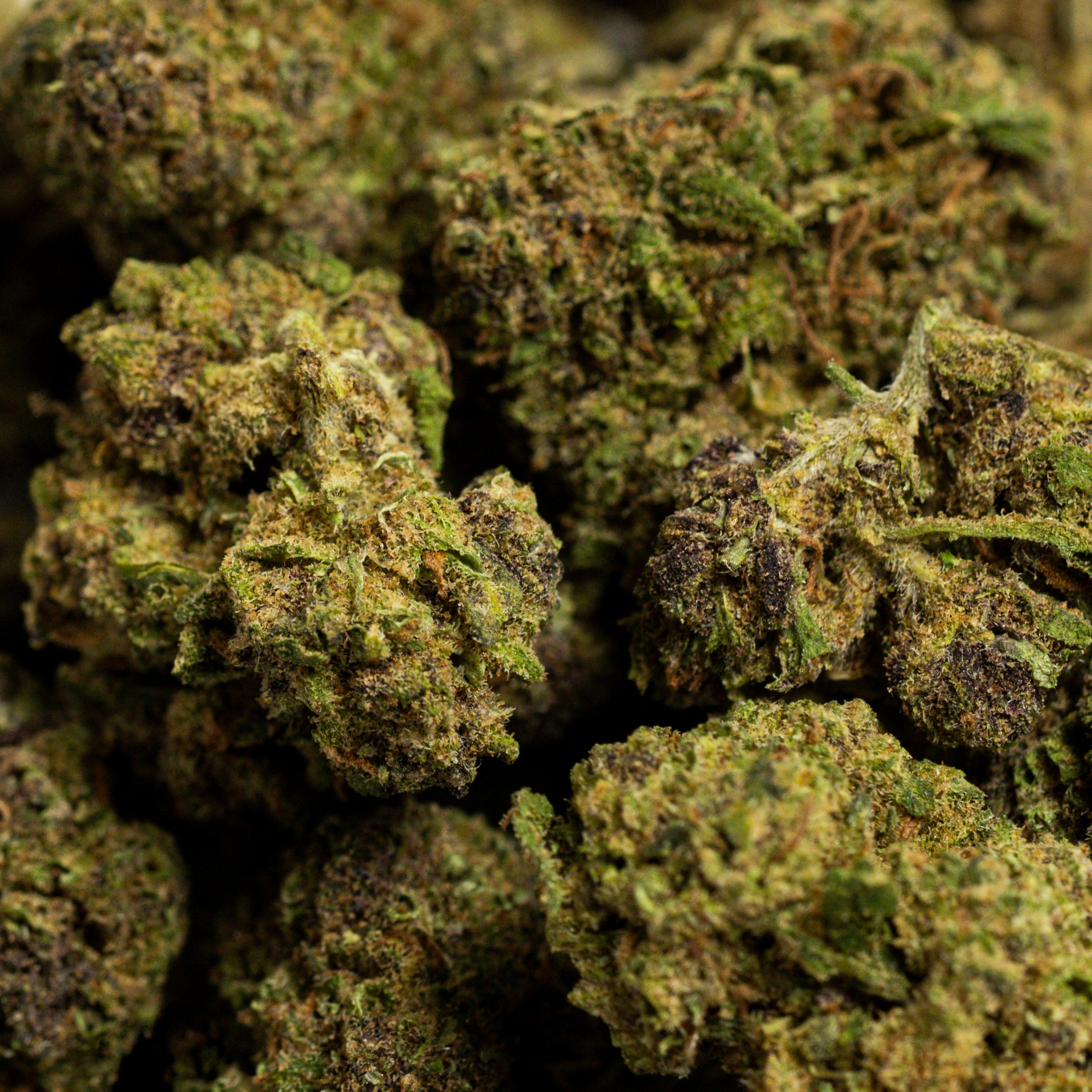 Pop Corn Sapphire CBD