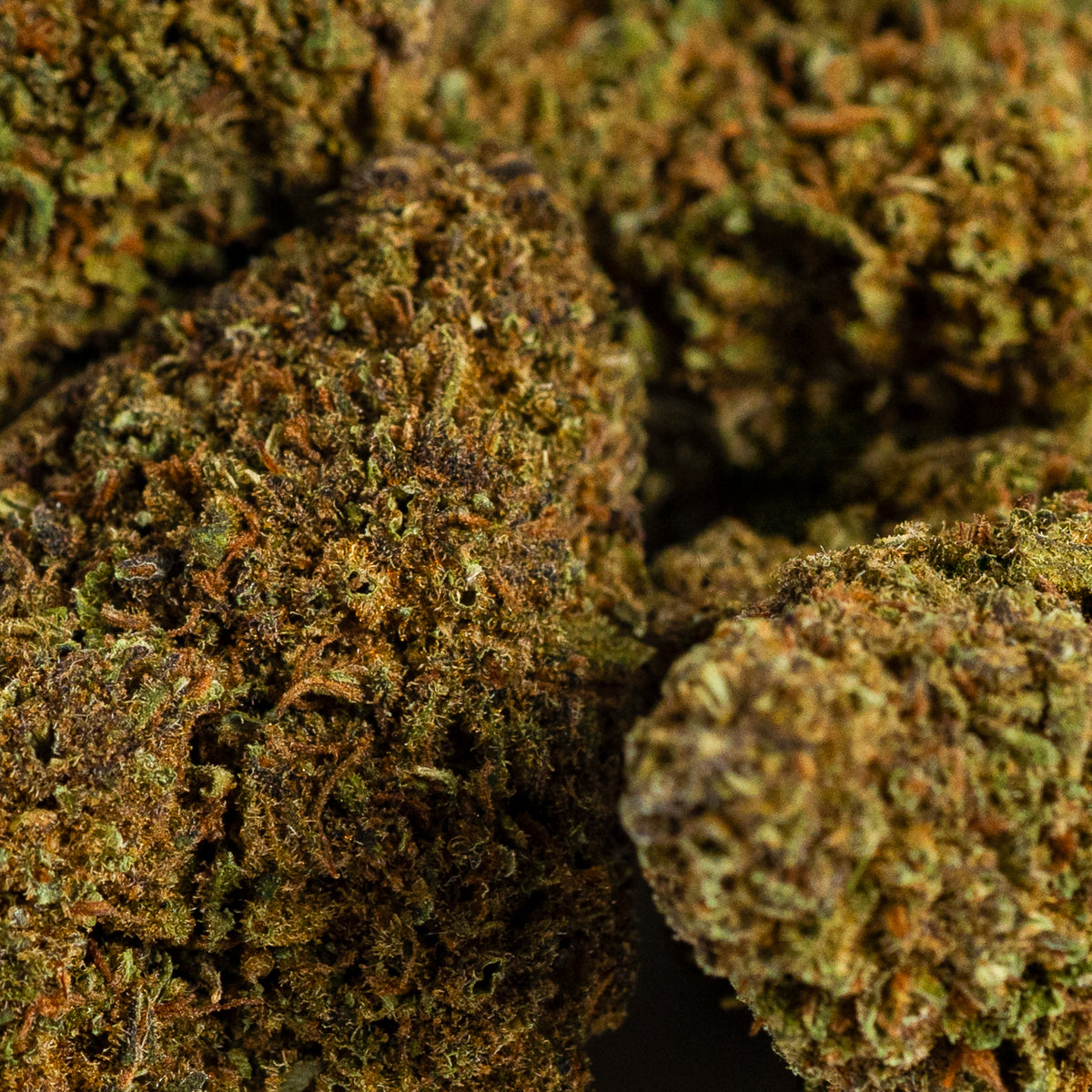 Pine skunk Iberohemp CBD (10g-500g)