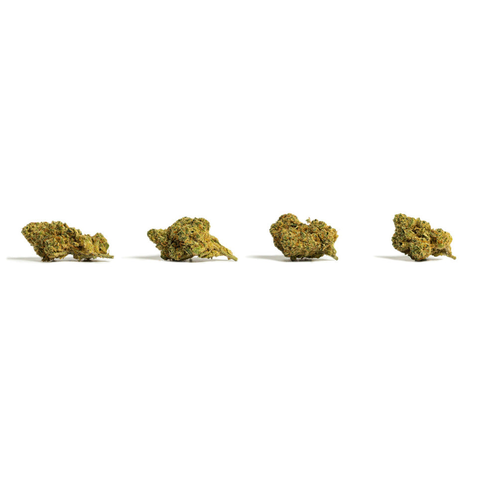 PopCorn Amnesia Hidropónica 2 -  (30g-500g)