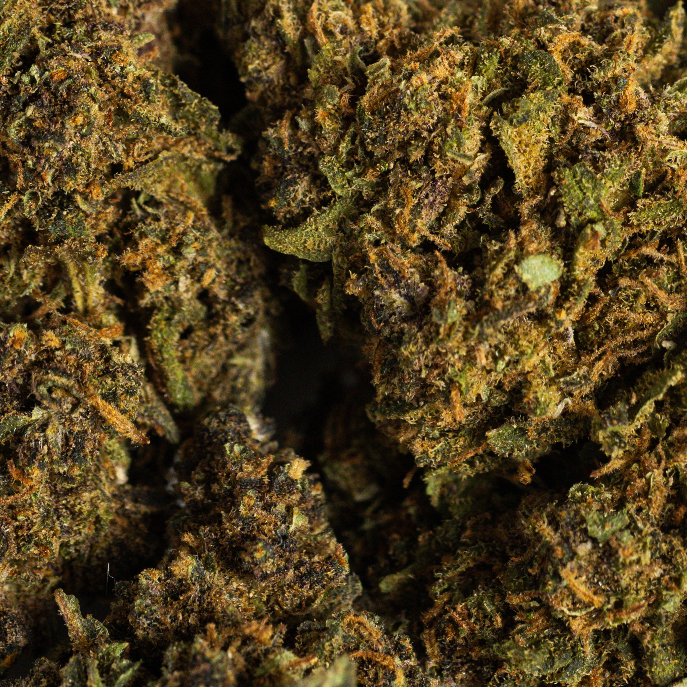 Purple Runtz CBD